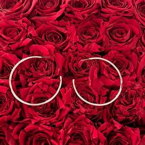 Anthropologie silver hoops